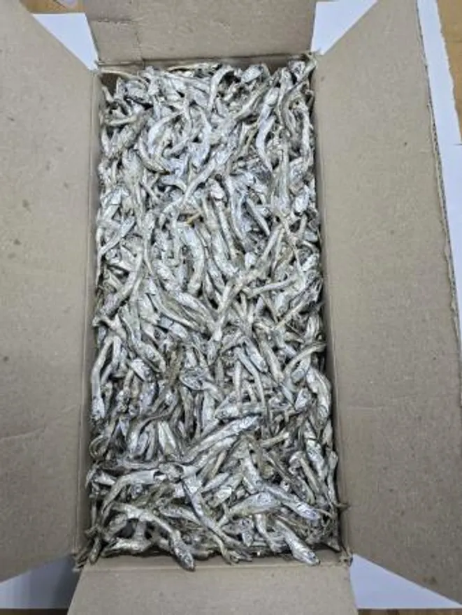 다시멸치 A급 1.5kg 국내산 국물용 햇멸치 이미지
