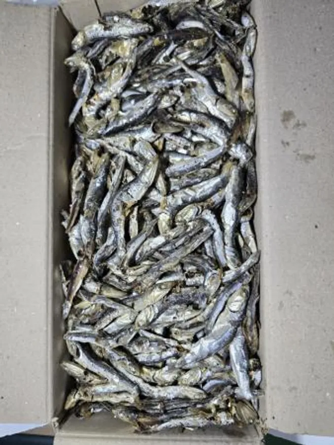 다시멸치 A급 1.5kg 국내산 국물용 햇멸치 이미지