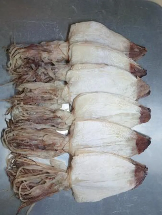 한치 S 30미 베트남산 냉동 이미지