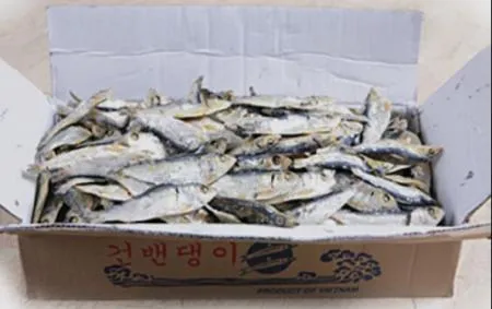 디포리 상급 밴댕이 1.5kg