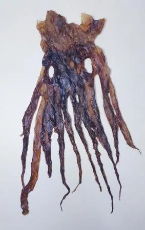 ★신제품행사★ 대왕발 (조미 건 오징어 다리 [소] 10미) 이미지