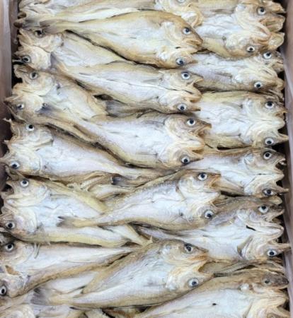 편 노가리 대구 10kg [박스출고 무료배송]