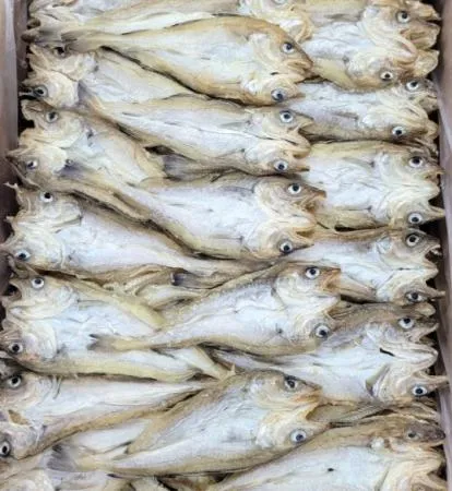 편 노가리 대구 10kg [박스출고 무료배송]