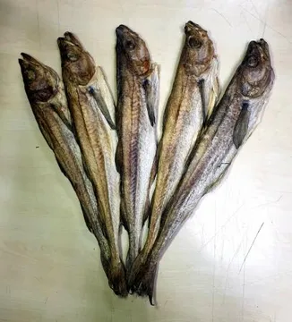 늘푸른 먹태 6통 5마리
