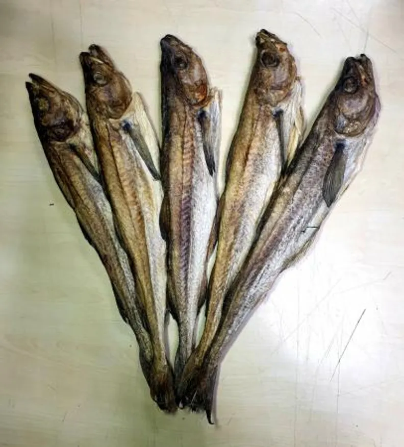 늘푸른 먹태 6통 5마리 이미지