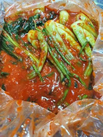 톡쏘는 맛이 일품인 갓김치 10kg (중국) 이미지
