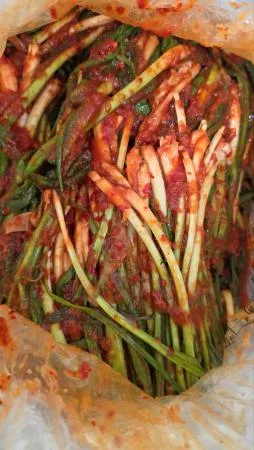 [빅세일-숙성종이박스] 맛있게 익은 맛이 일품인 고구려 숙성파김치 쪽파김치 10kg(중국) 이미지