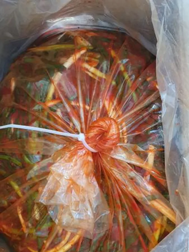 맛있는 쪽파김치 10kg (중국) 이미지
