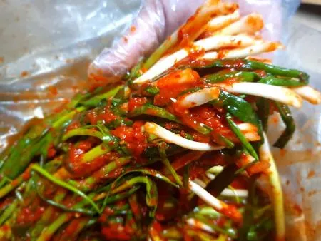 맛있는 쪽파김치 10kg (중국) 이미지