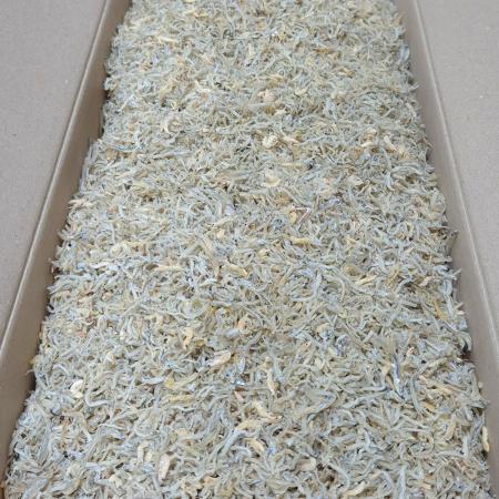 [백송식품] 품질좋은 국산 햇 새우섞인 지리멸치 1.5kg 짜지않은 잔멸치