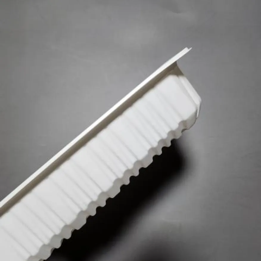 일회용 23195 두꺼운 실링용기 필름포장용기 검정 600개 이미지