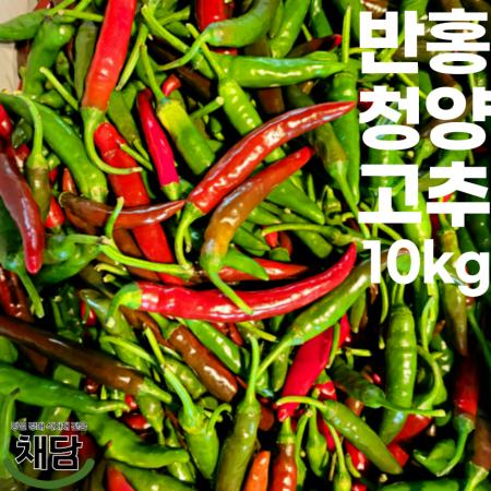 반홍청양 고추 10kg (국내산) 이미지