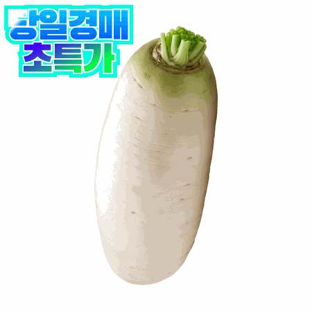 무우 1개 (제주산 세척무)