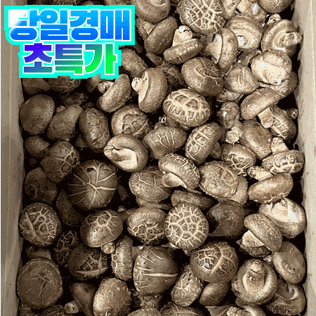 표고버섯 4kg (국산/수입)