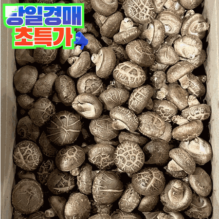 표고버섯 4kg (국산/수입)