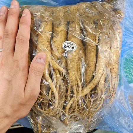 세척 수삼 370g (백숙·삼계탕용, 국내산) 이미지