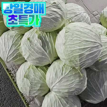 깐 양배추 1통 (국내산)