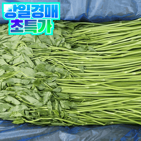 돌미나리 4kg (특, 국내산)