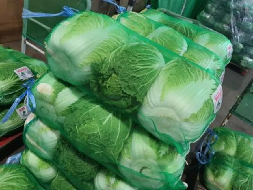 배추 3개입 (52망 특대, 국내산) 이미지