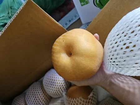 배 1개 (국내산)