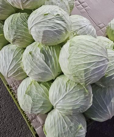 깐 양배추 1통 (국내산)