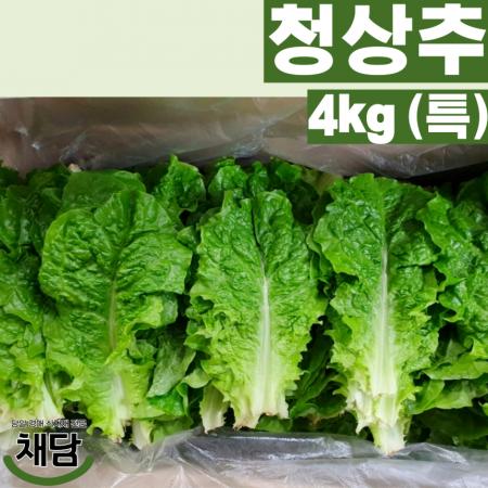 청상추 4kg (특품, 국내산) 이미지