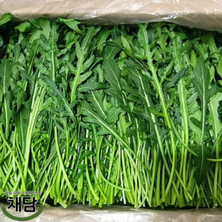 와일드 루꼴라 300g 이미지