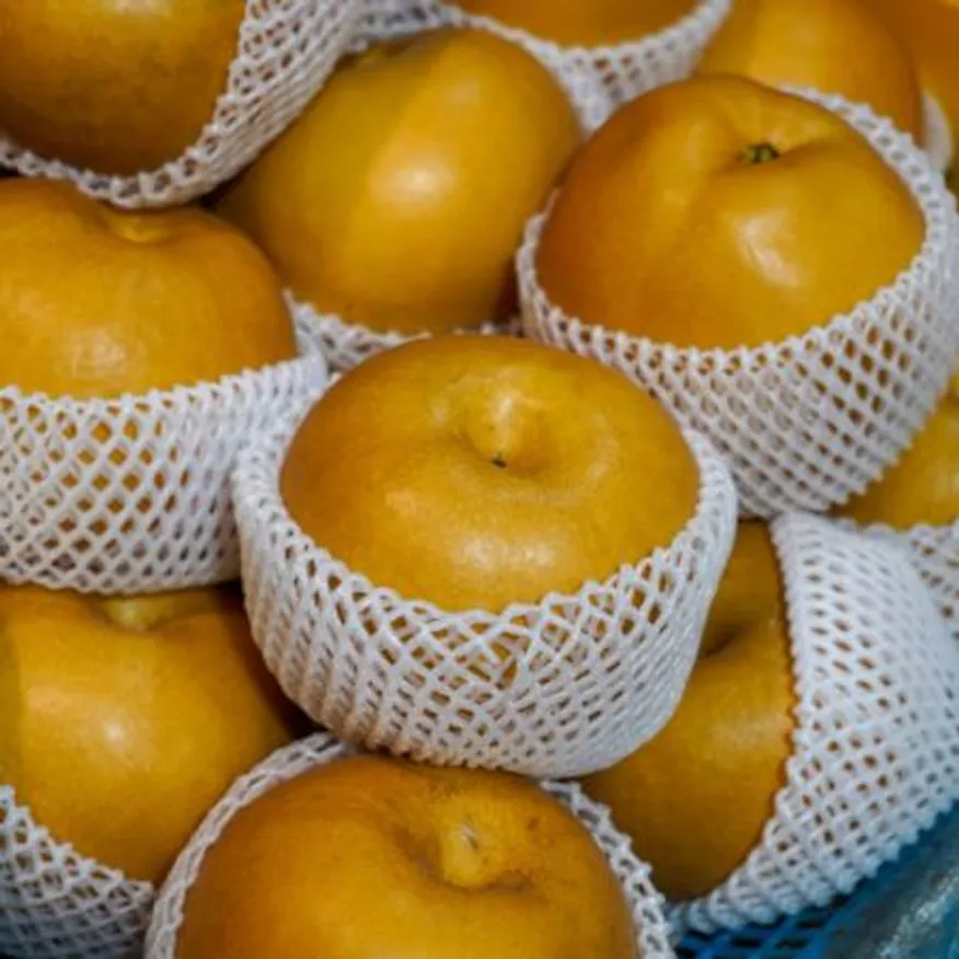 배 1개 (특, 국내산) 이미지