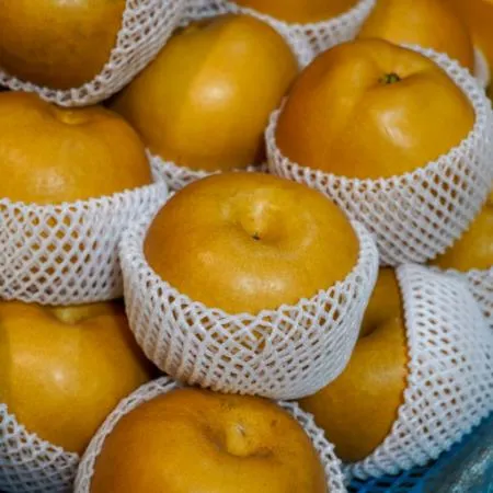 배 1개 (국내산) 이미지