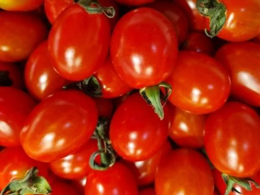 대추방울토마토 4kg (특품, 국내산) 이미지