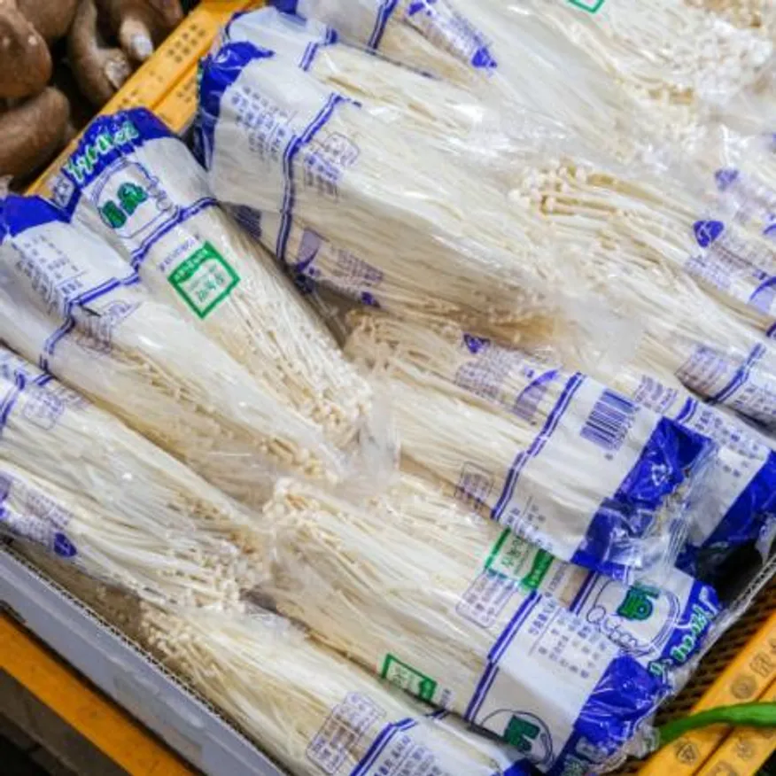 황소 팽이버섯 5kg (국내산) 이미지