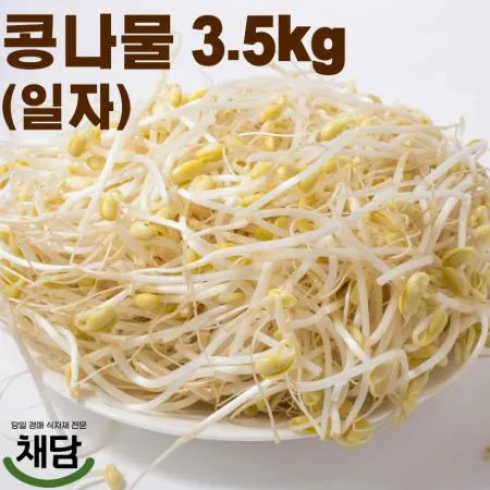 일자 콩나물 3.5kg 이미지