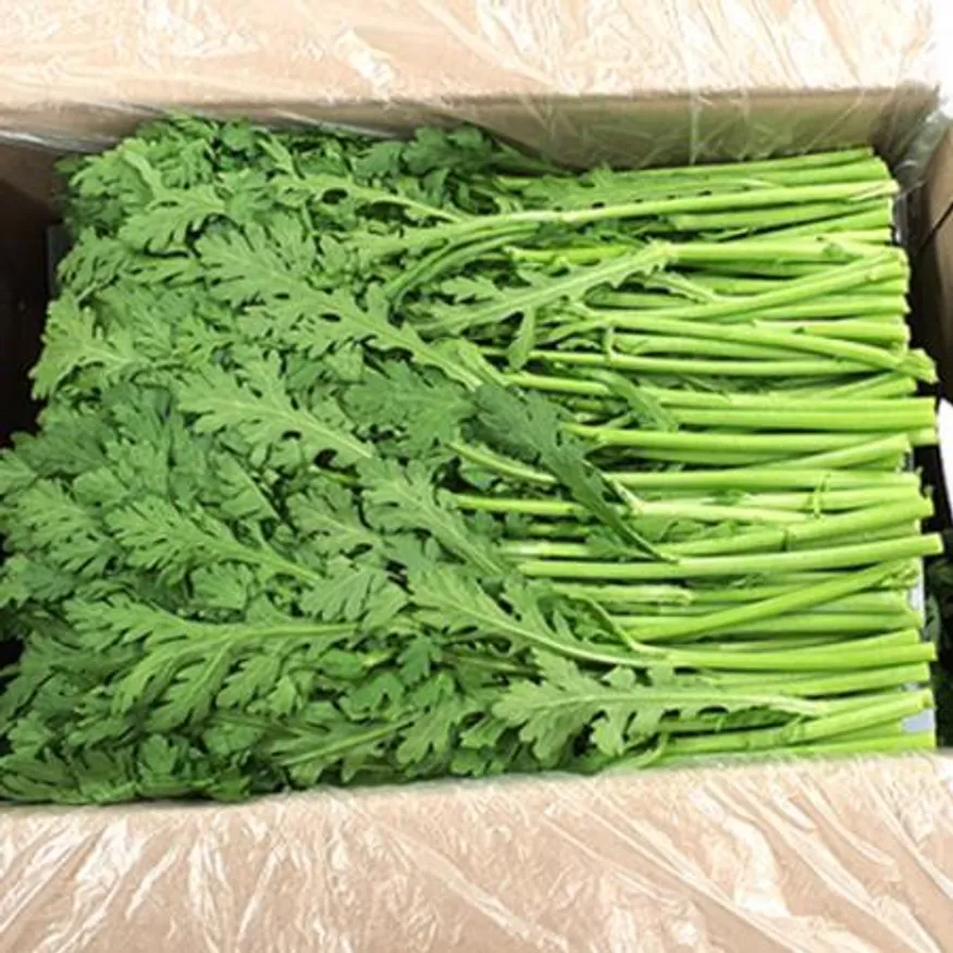 돌미나리 4kg (특, 국내산) 이미지