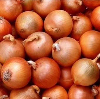 양파 15kg 특품 (2번, 국내산) 이미지