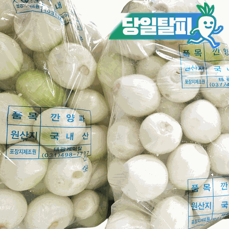 깐양파 파지 5kg (국내산)