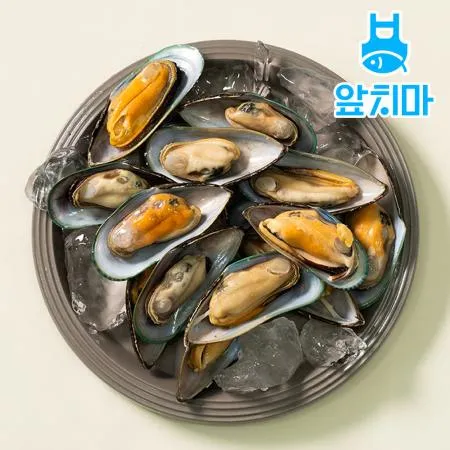 뉴질랜드 자연산 그린홍합 800g 초록잎홍합, 반탈각, 파스타