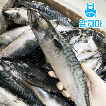 노르웨이 고등어 20kg(300/500)벌크 1BOX 노르웨이산