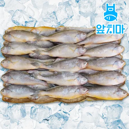 참조기 3.5kg 50/52미 업소용 도매 냉동 식당용 조기 반찬