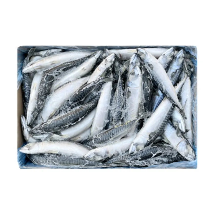 노르웨이 고등어 20kg(300/500)벌크 1BOX 노르웨이산 이미지