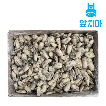 냉동굴 10kg 통영 국내산