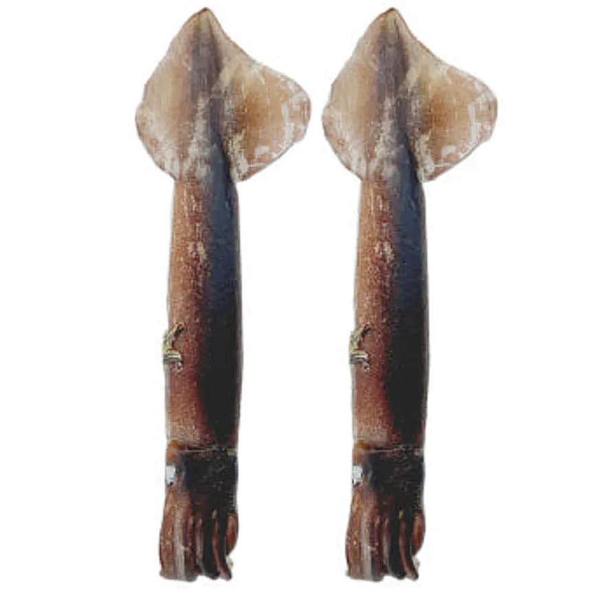 포크오징어(M)20KG 1BOX원양산 이미지