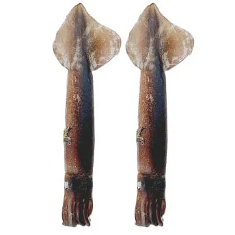 포크오징어(M)20KG 1BOX원양산 이미지
