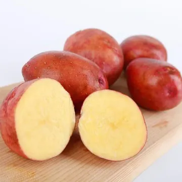 단단하고 포슬포슬한 홍감자