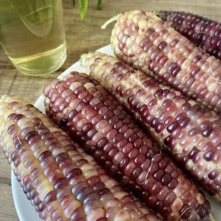 손질없이 간편한 농협 찐 냉동 흑찰옥수수 특품 (15cm 이상) 이미지