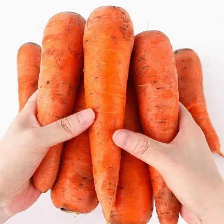흙당근 5kg 국내산 1박스 이미지