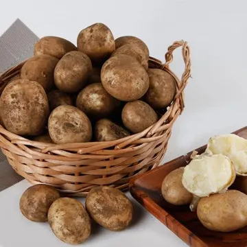 수미감자 10kg 국내산 1박스