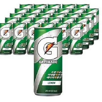 게토레이 켄240ml 60입