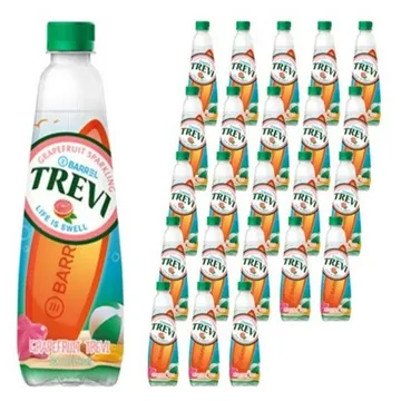 트레비 자몽 500ml * 24개 (리뉴얼 중으로 랜덤발송)