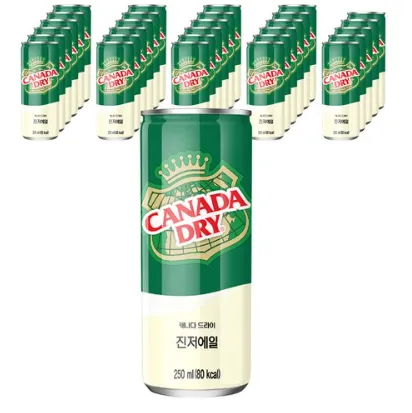 캐나다 드라이 진저엘 캔250ml 30입