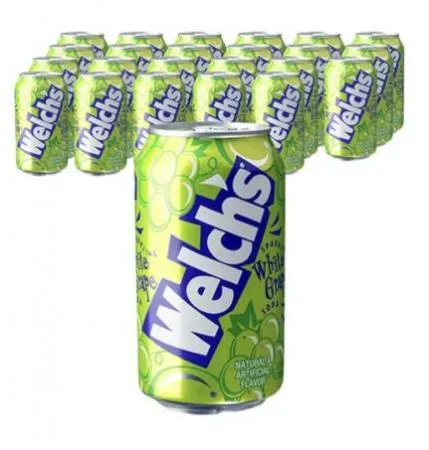 웰치스 청포도맛 355ml x 24개 (1박스)